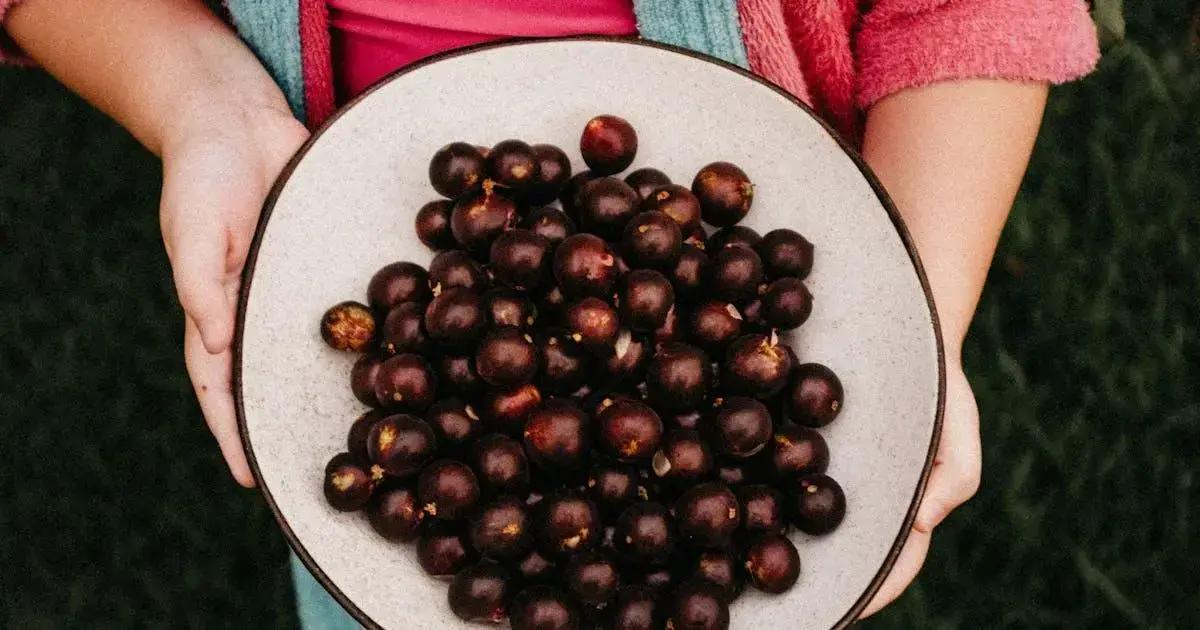 frutas produzidas no Brasil